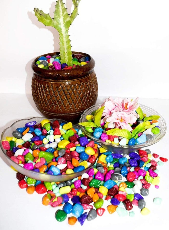 Power Stone Decorative Coloured Asymmetric Marble Stone Pebbles for Vase Filler Plant Pots Home Aquarium Fish Tanks Landscape Outdoor Garden Decoration (Multi Colour, 1Kg) - Image 2